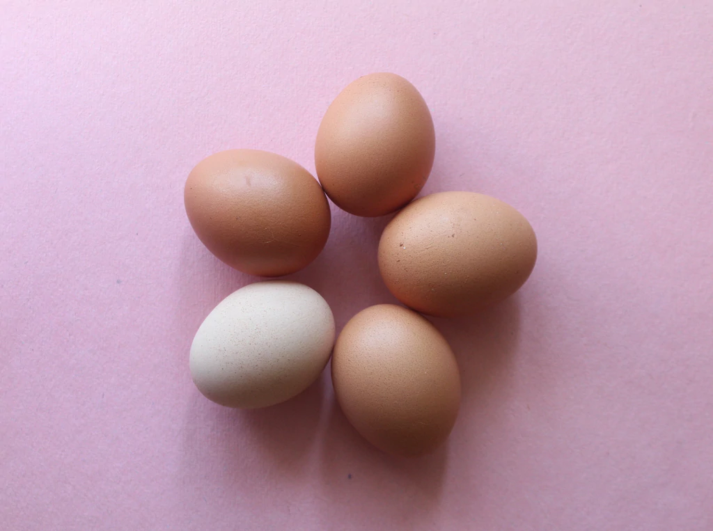 eggs